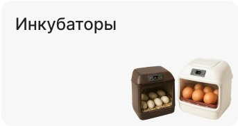 Инкубаторы